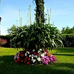 Versilia Oda ve Kahvaltı