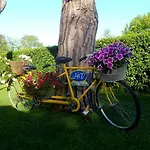 Oda ve Kahvaltı Versilia 4*