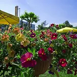 Versilia 4*